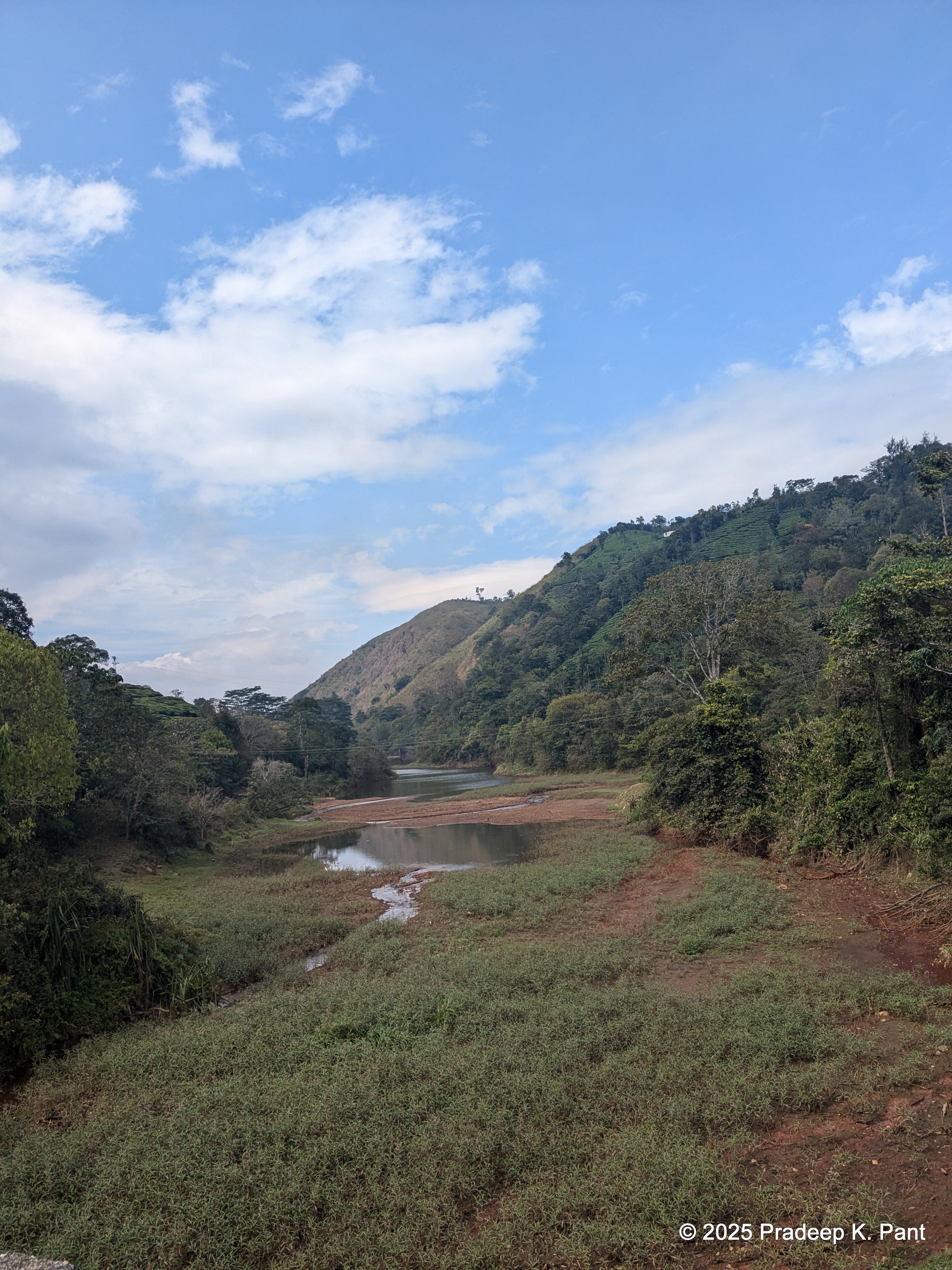 Vagamon UTrail – Tea gardens and rolling hills